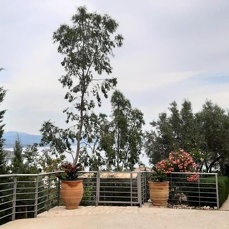 Willa Stone House In Olive Grove Tolón Zewnętrze zdjęcie