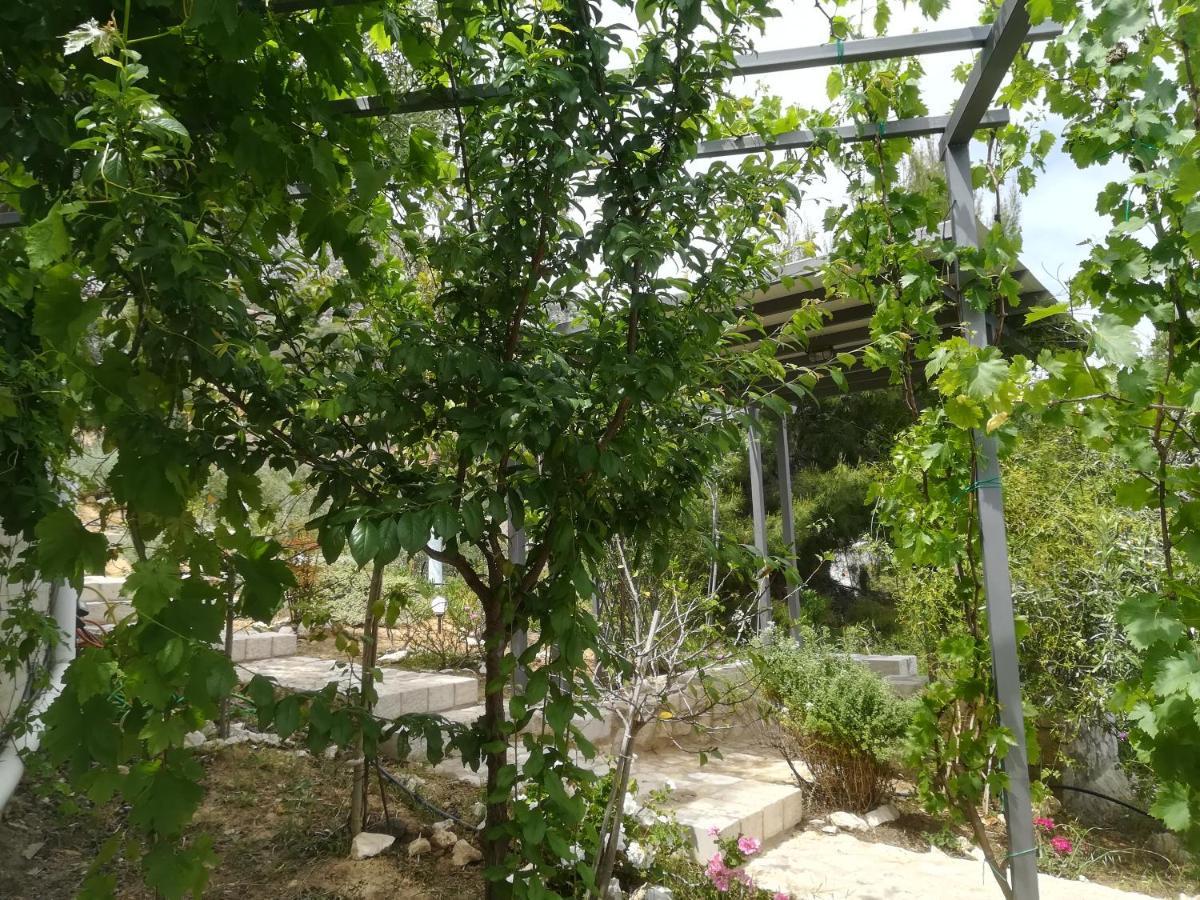 Willa Stone House In Olive Grove Tolón Zewnętrze zdjęcie