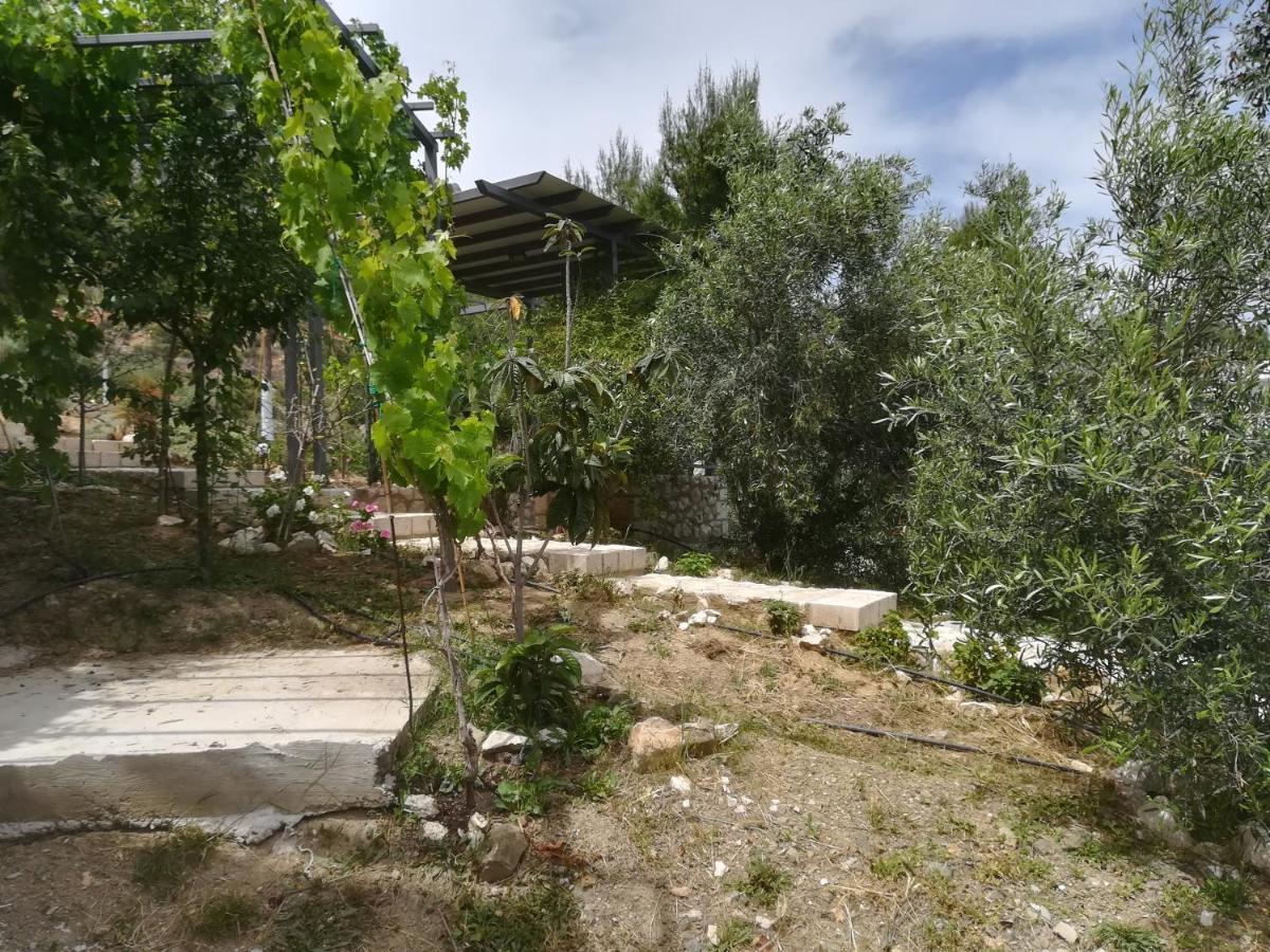 Willa Stone House In Olive Grove Tolón Zewnętrze zdjęcie