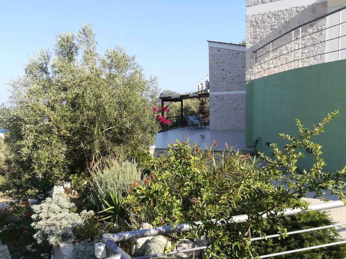 Willa Stone House In Olive Grove Tolón Zewnętrze zdjęcie