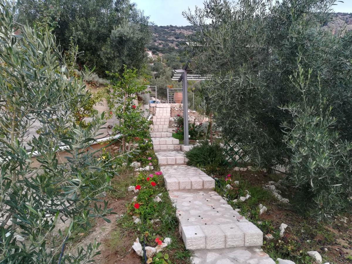 Willa Stone House In Olive Grove Tolón Zewnętrze zdjęcie